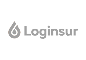 logos clientes web loginsur